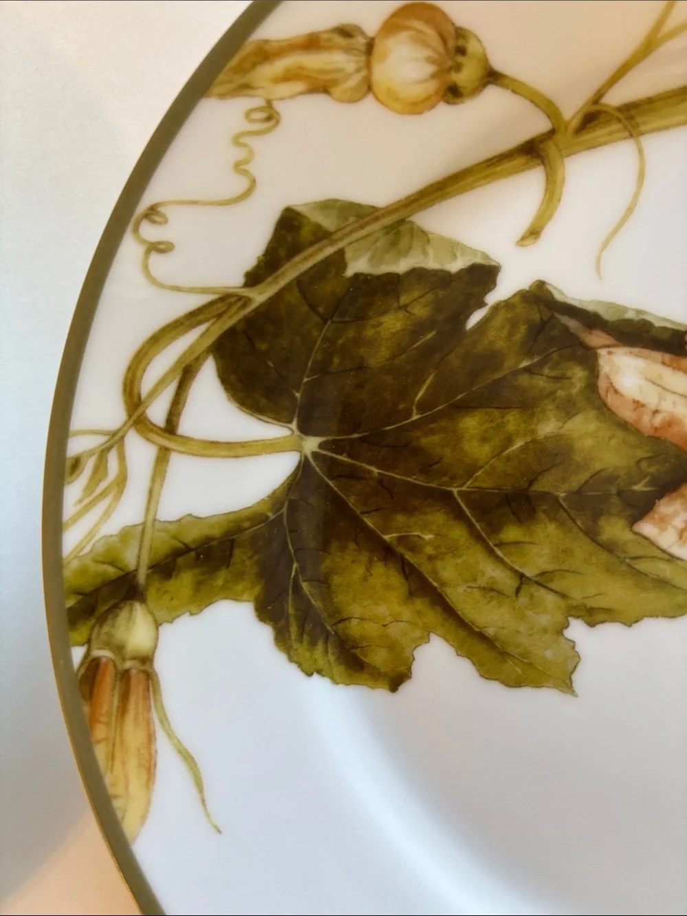 Williams Sonoma Botanical Pumpkin Salad Dessert Plates Set of 4 Thanksgiving